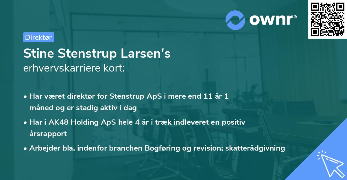 Stine Stenstrup Larsen's erhvervskarriere kort