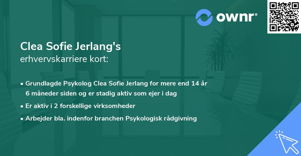 Clea Sofie Jerlang's erhvervskarriere kort