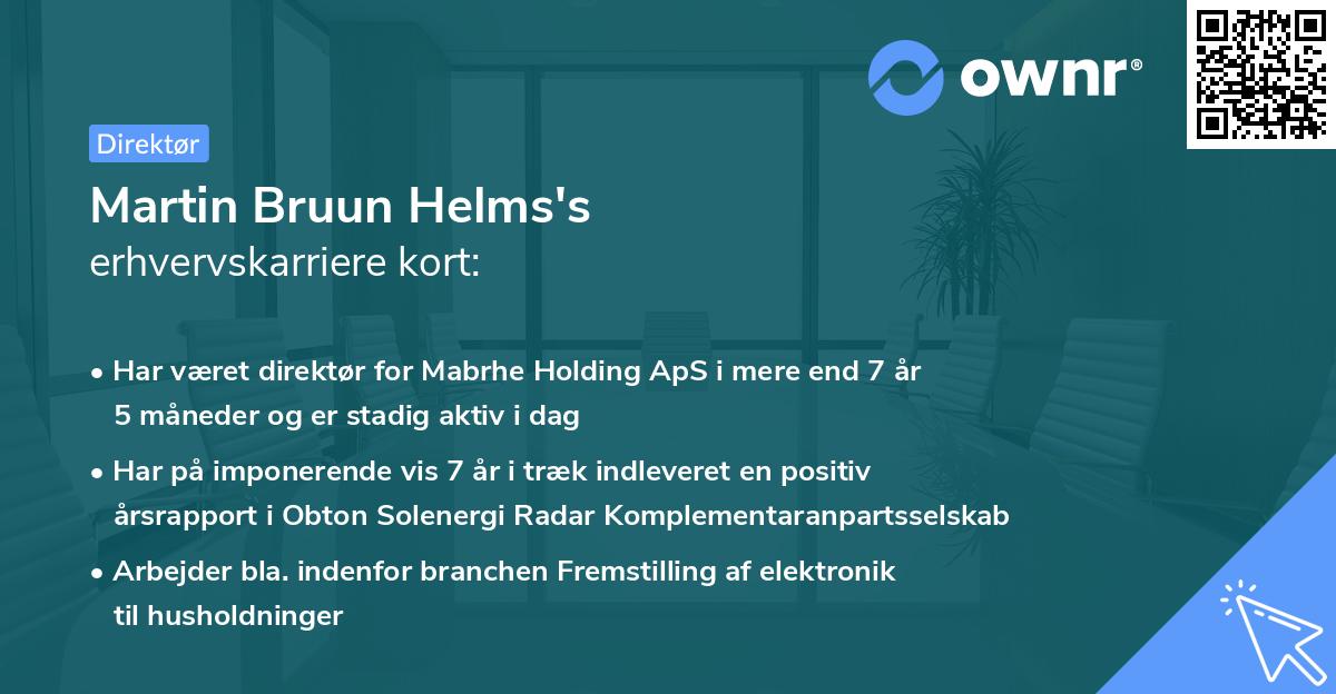 Martin Bruun Helms's erhvervskarriere kort