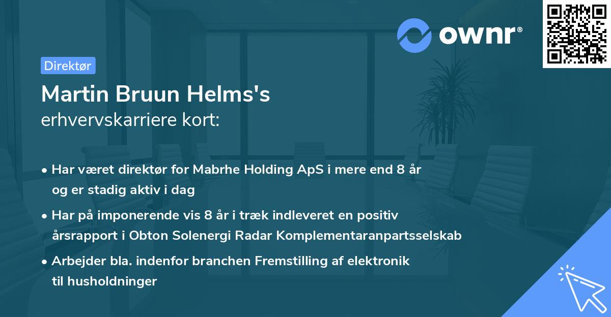 Martin Bruun Helms's erhvervskarriere kort