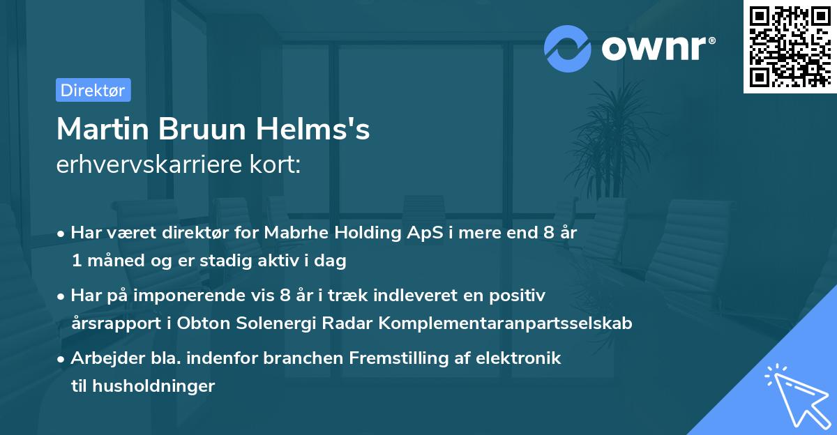 Martin Bruun Helms's erhvervskarriere kort