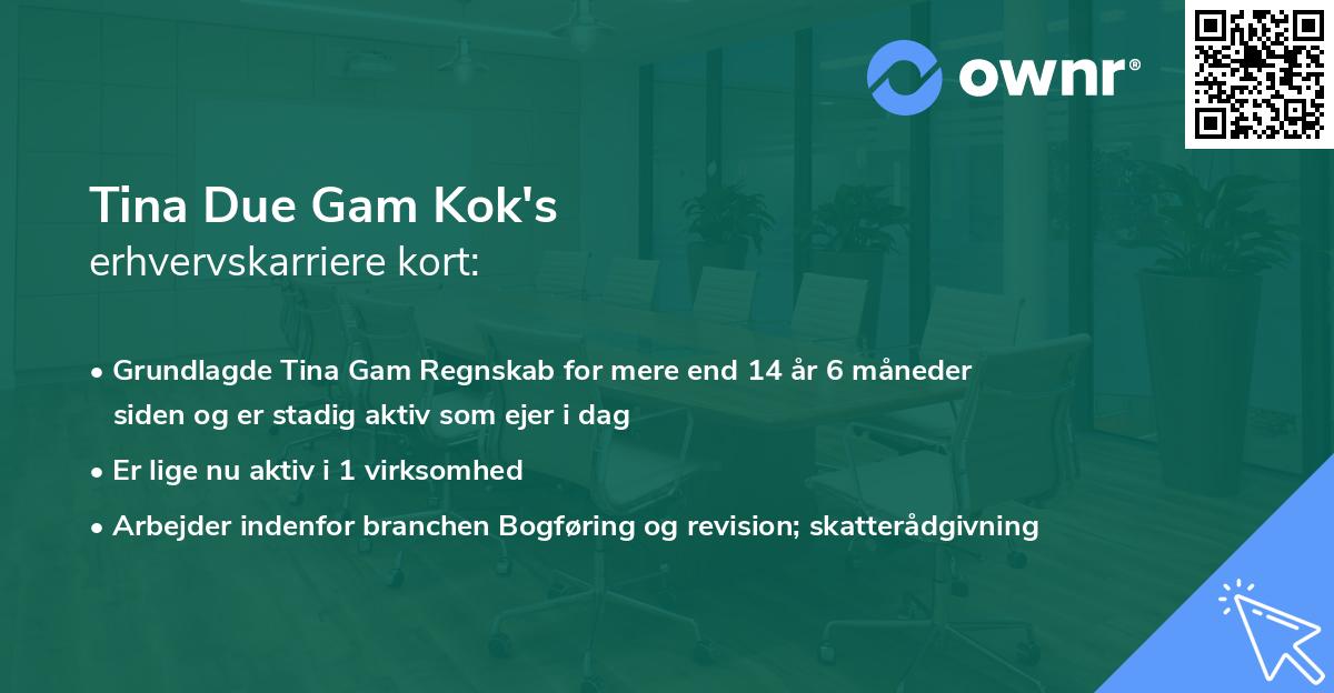 Tina Due Gam Kok's erhvervskarriere kort