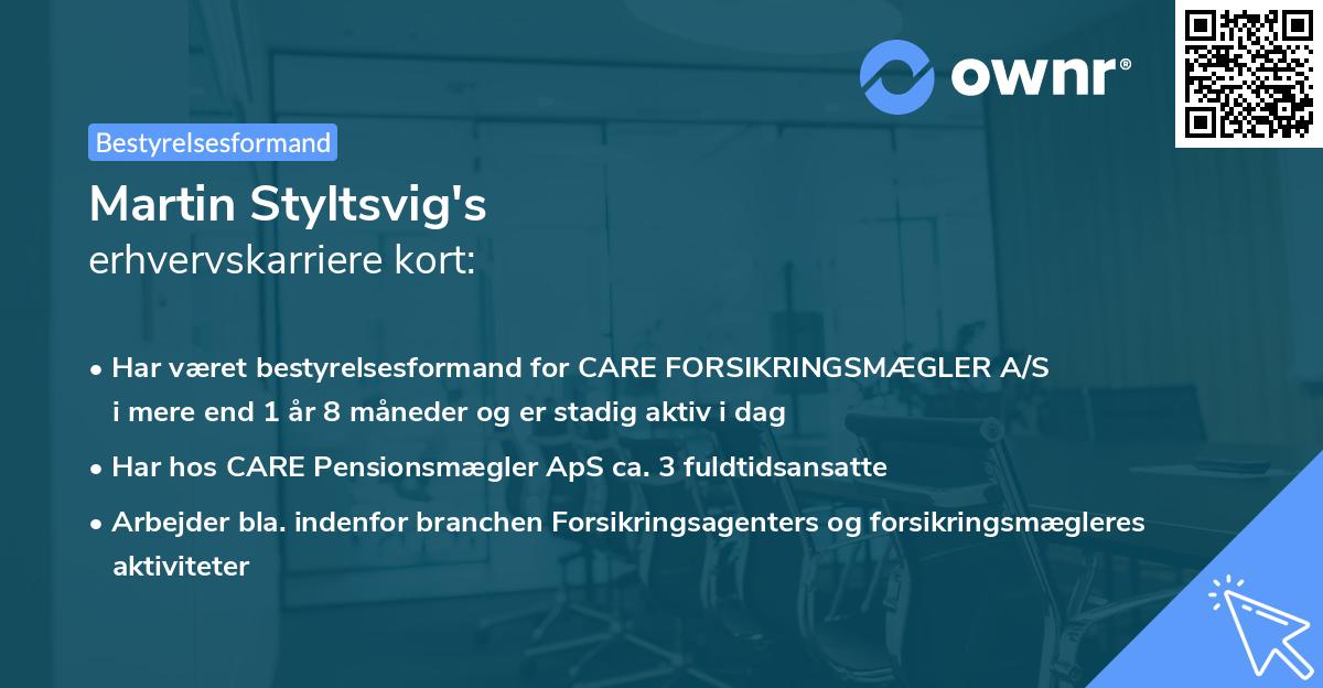 Martin Styltsvig's erhvervskarriere kort