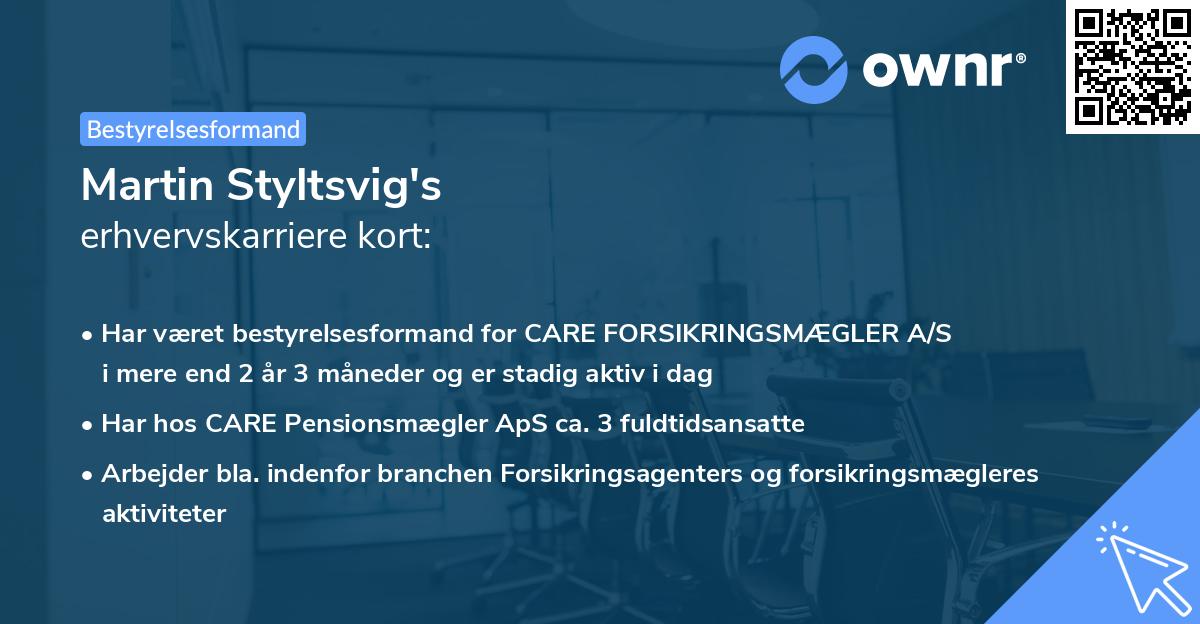 Martin Styltsvig's erhvervskarriere kort