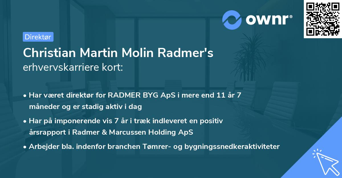 Christian Martin Molin Radmer's erhvervskarriere kort