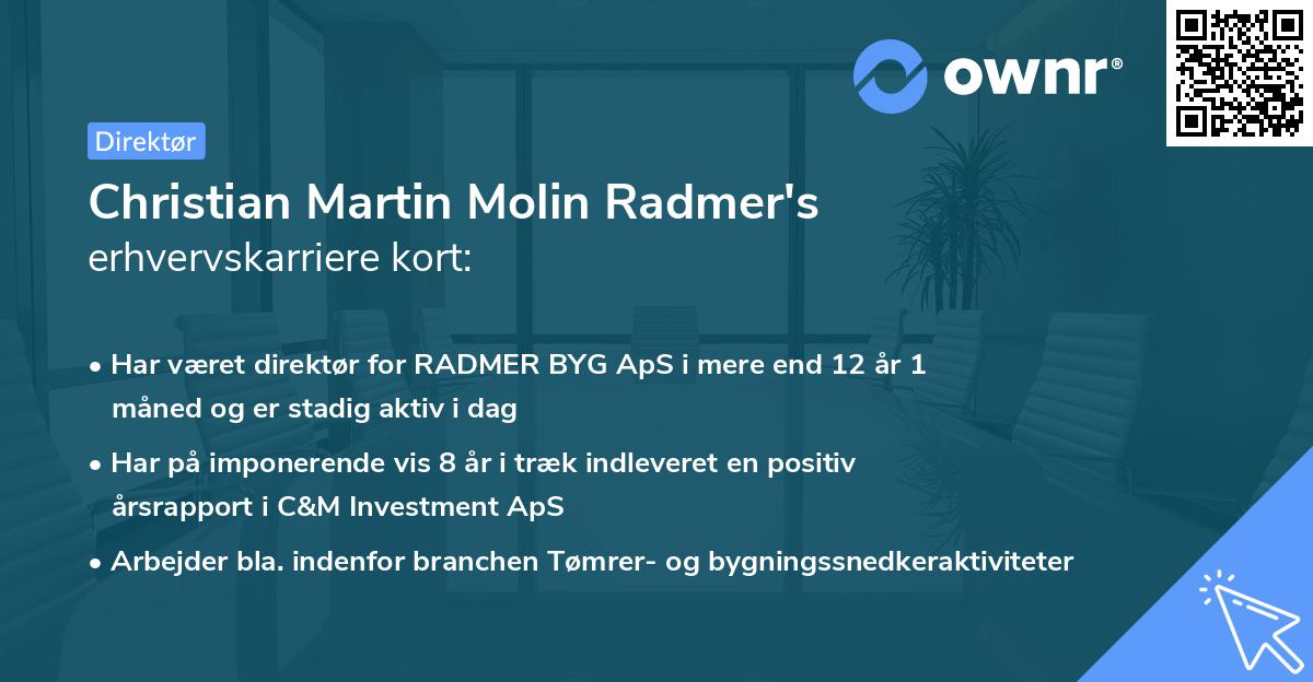 Christian Martin Molin Radmer's erhvervskarriere kort