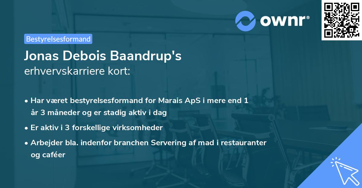 Jonas Debois Baandrup's erhvervskarriere kort