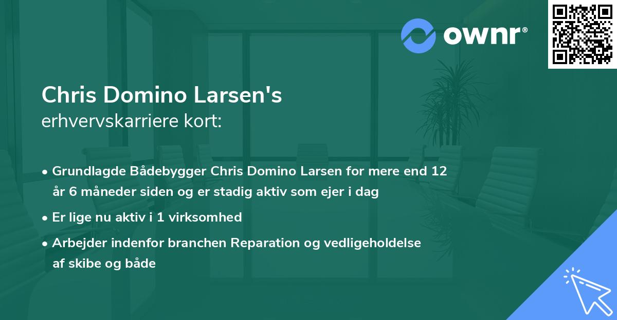 Chris Domino Larsen's erhvervskarriere kort