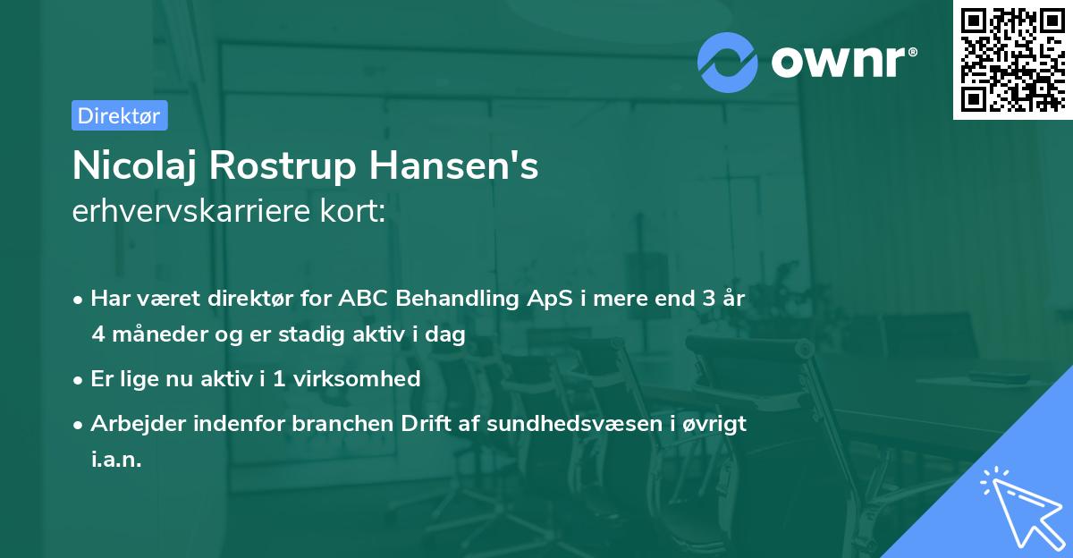 Nicolaj Rostrup Hansen's erhvervskarriere kort