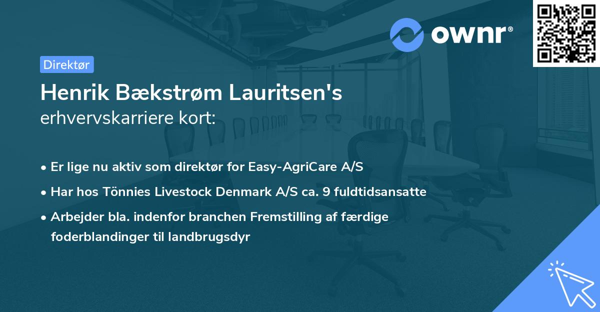 Henrik Bækstrøm Lauritsen's erhvervskarriere kort