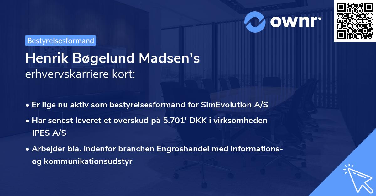Henrik Bøgelund Madsen's erhvervskarriere kort