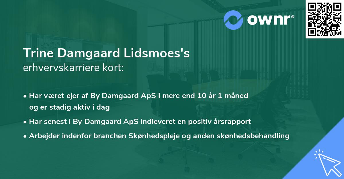 Trine Damgaard Lidsmoes's erhvervskarriere kort