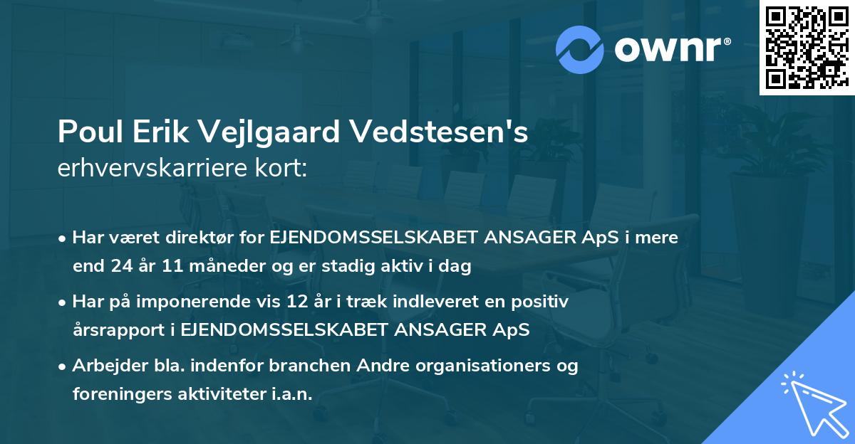 Poul Erik Vejlgaard Vedstesen's erhvervskarriere kort