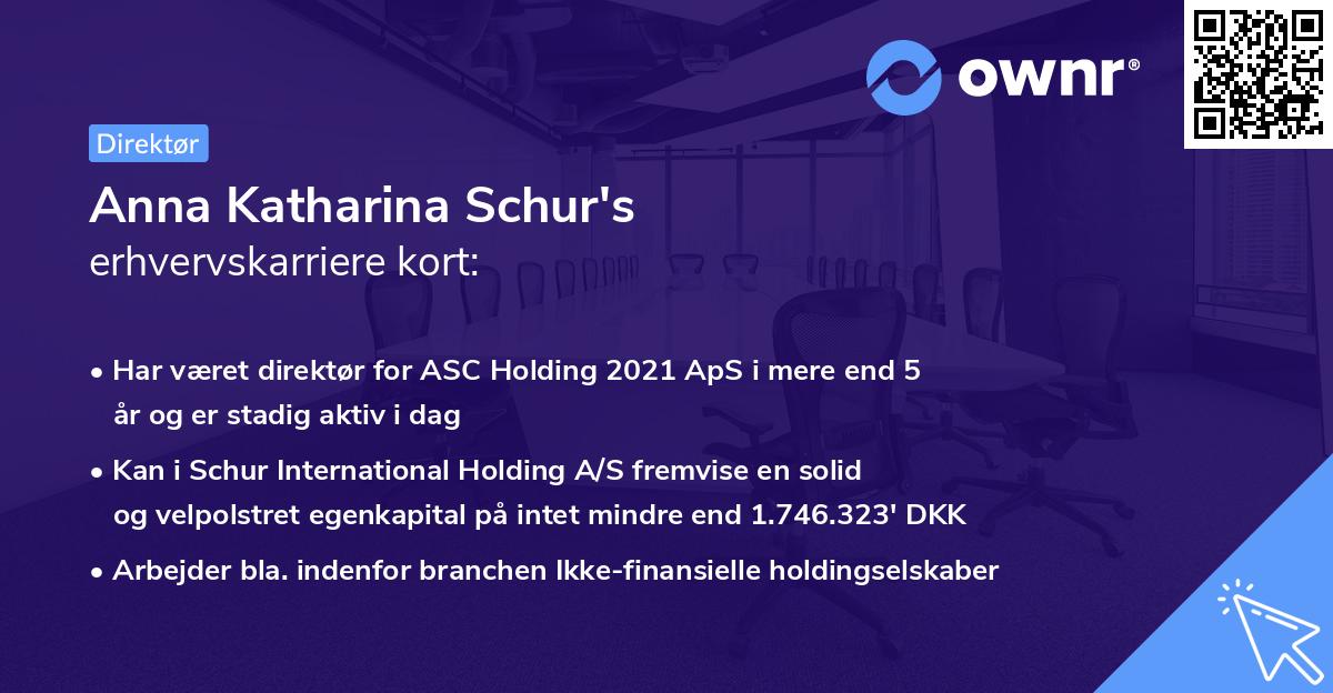 Anna Katharina Schur's erhvervskarriere kort