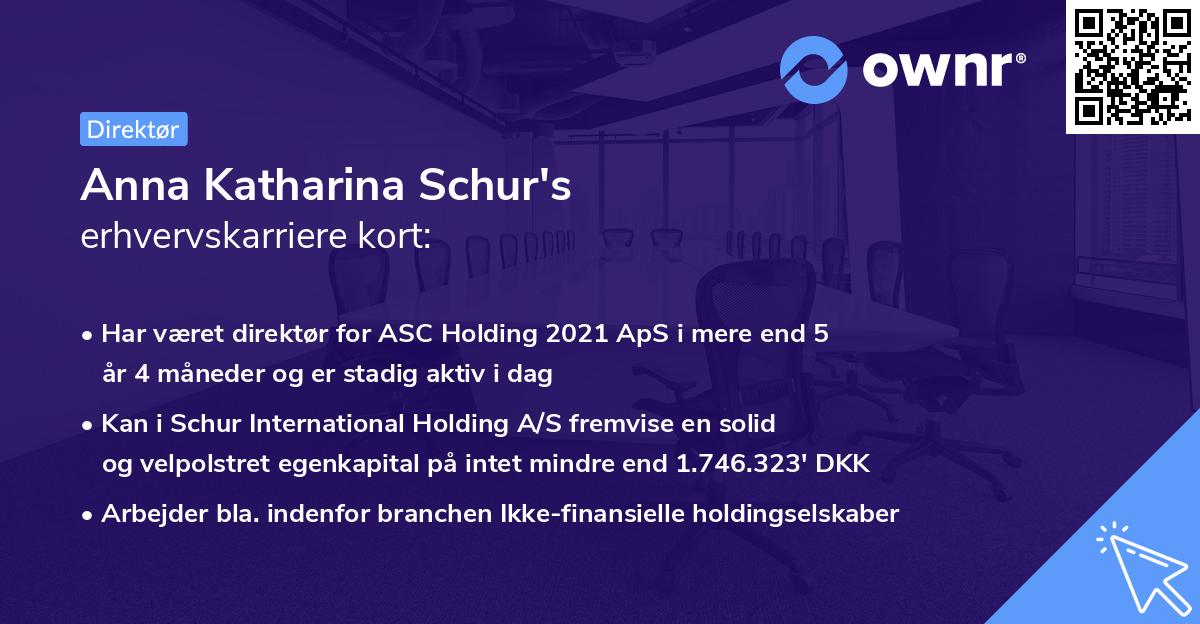 Anna Katharina Schur's erhvervskarriere kort