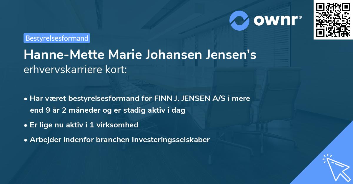 Hanne-Mette Marie Johansen Jensen's erhvervskarriere kort