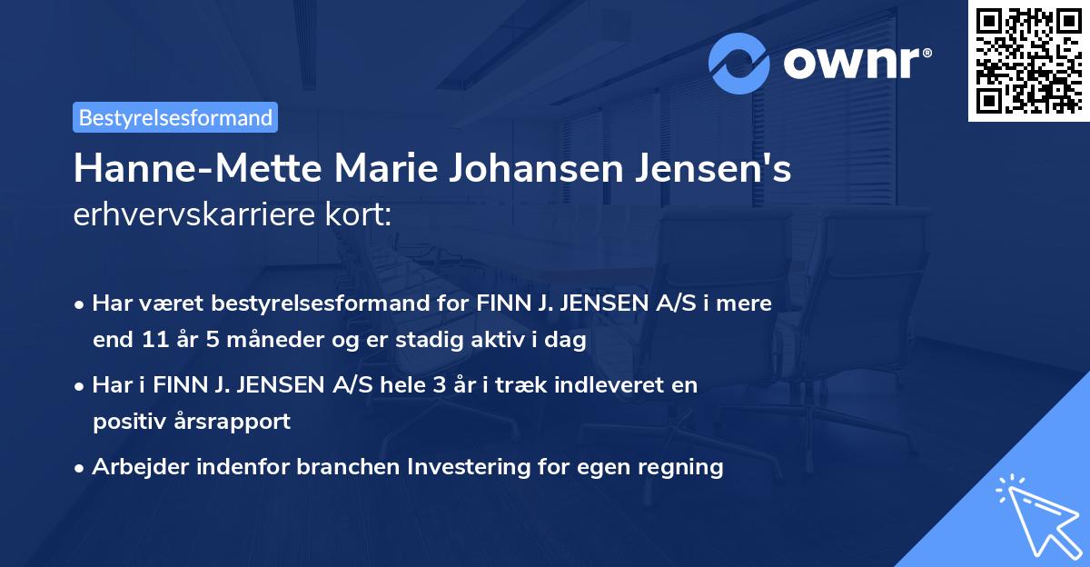 Hanne-Mette Marie Johansen Jensen's erhvervskarriere kort