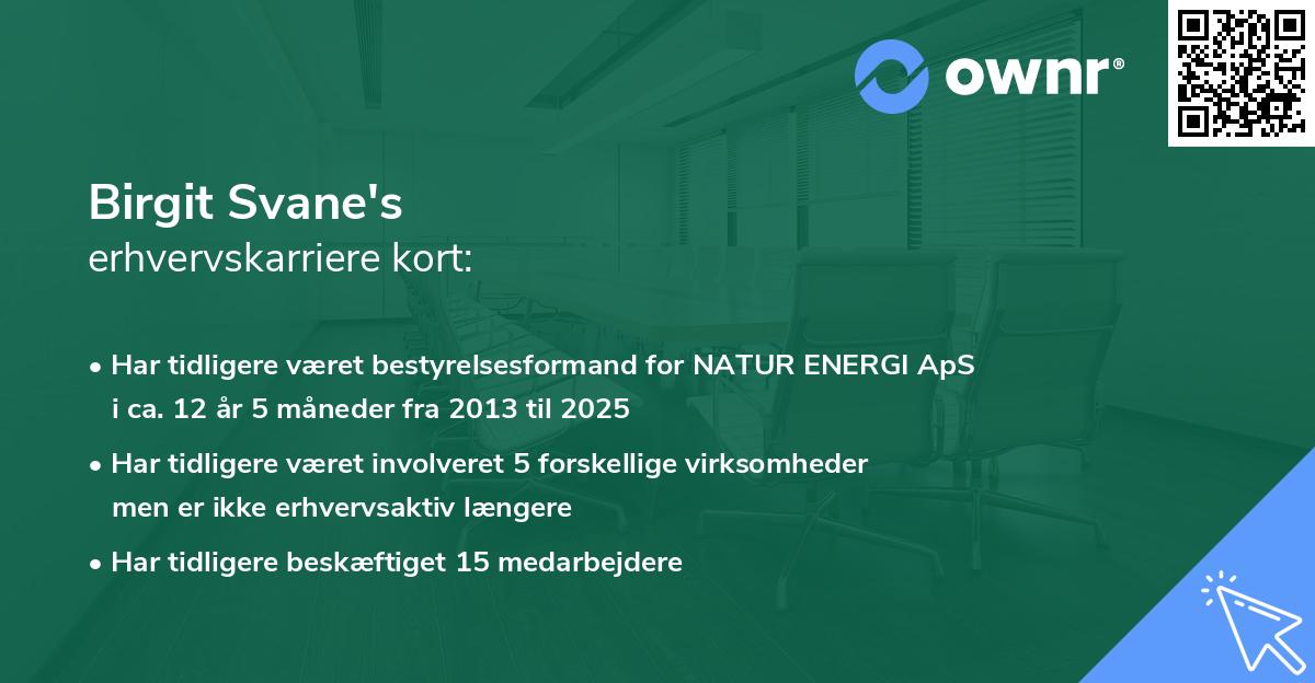 Birgit Svane's erhvervskarriere kort