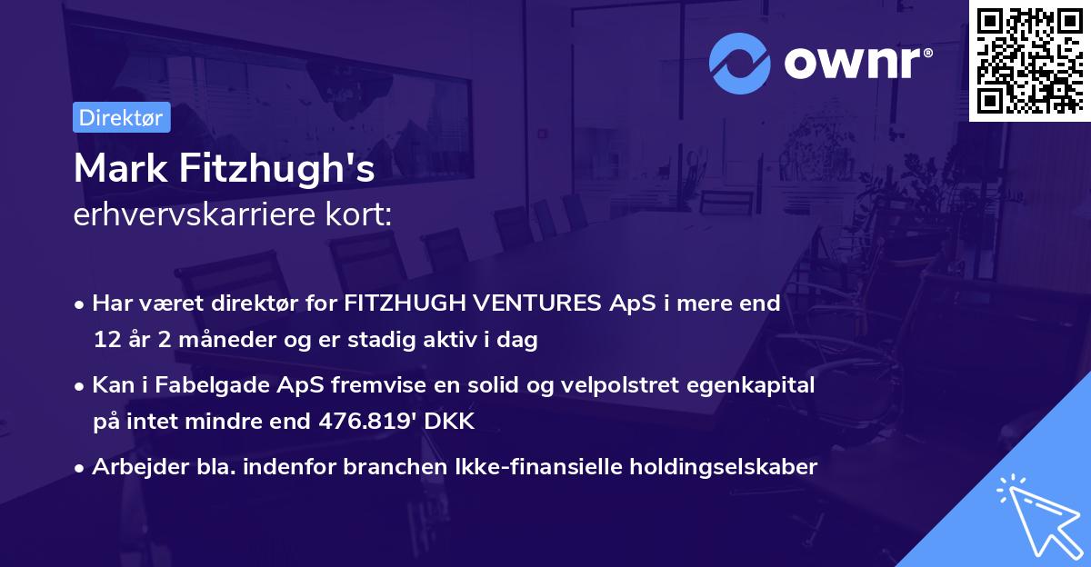 Mark Fitzhugh's erhvervskarriere kort