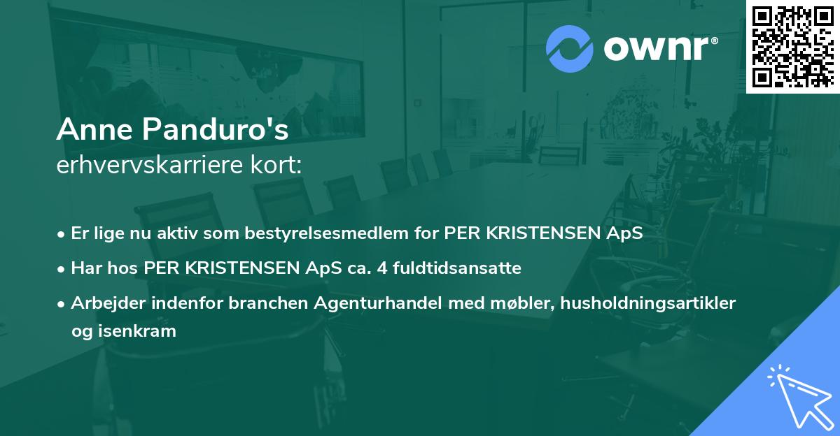 Anne Panduro's erhvervskarriere kort