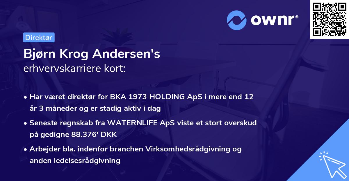 Bjørn Krog Andersen's erhvervskarriere kort