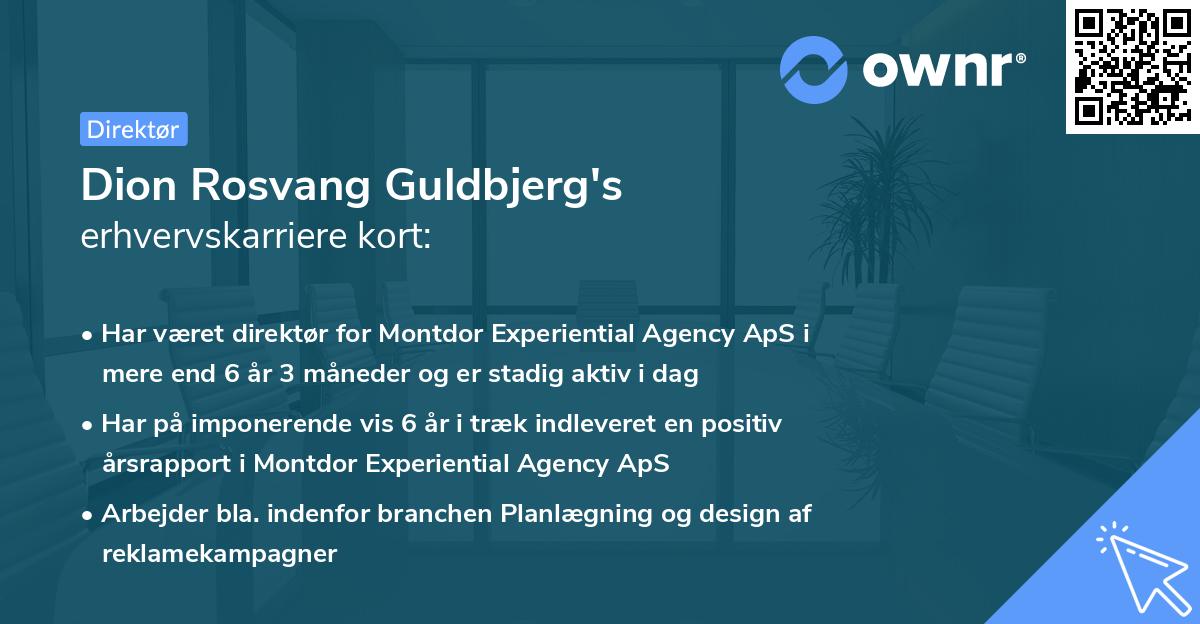 Dion Rosvang Guldbjerg's erhvervskarriere kort