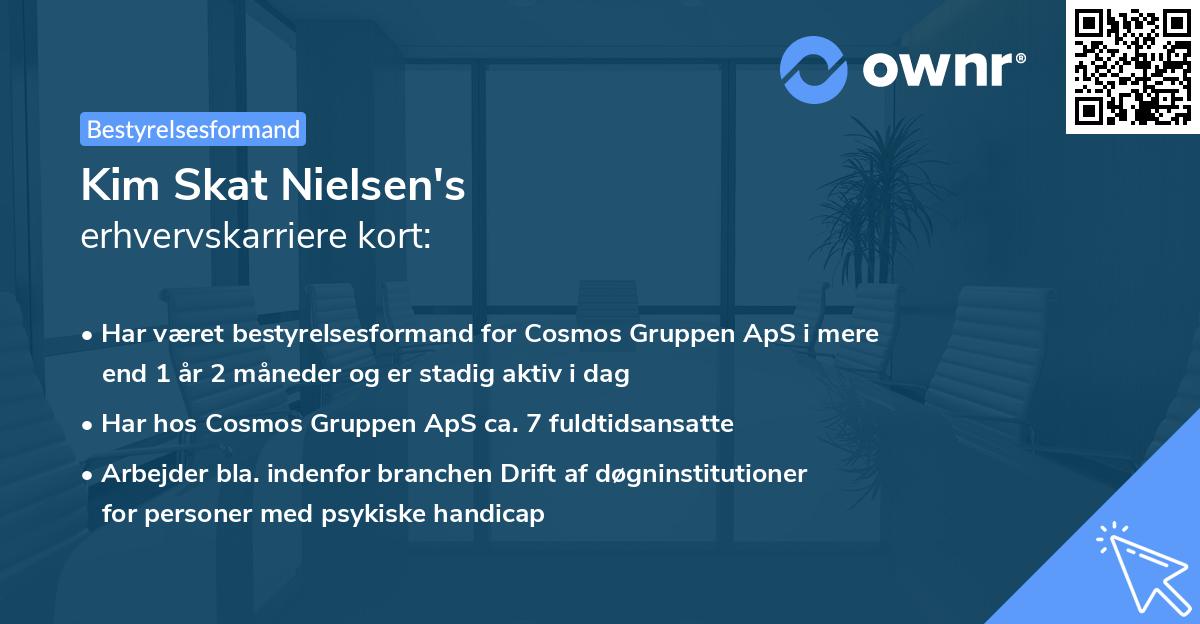Kim Skat Nielsen's erhvervskarriere kort