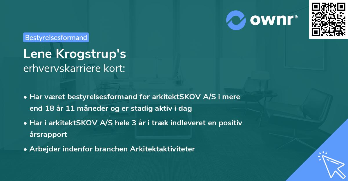 Lene Krogstrup's erhvervskarriere kort