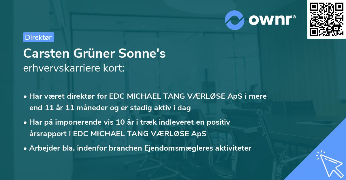 Carsten Grüner Sonne's erhvervskarriere kort