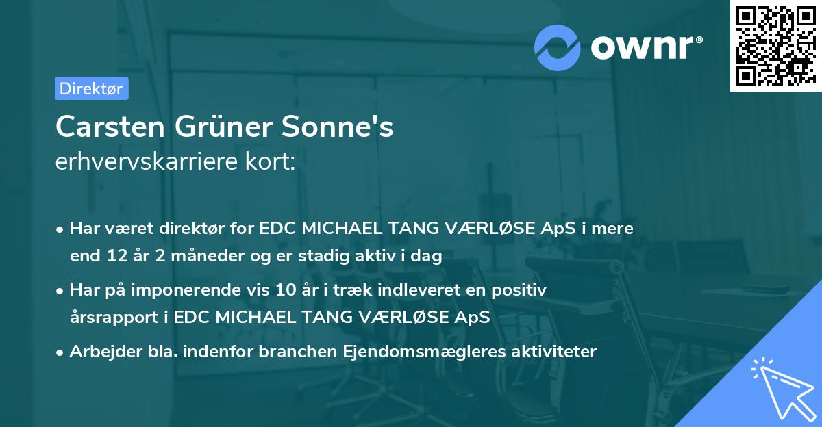 Carsten Grüner Sonne's erhvervskarriere kort