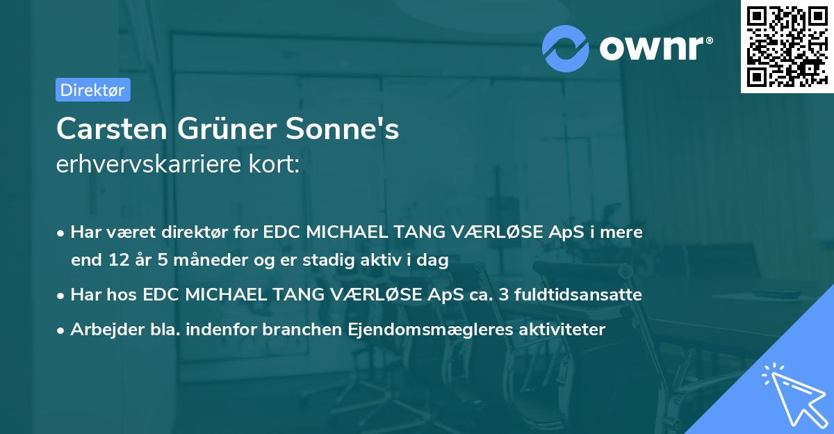 Carsten Grüner Sonne's erhvervskarriere kort