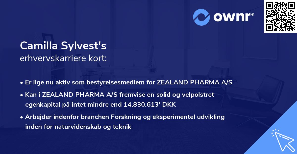 Camilla Sylvest's erhvervskarriere kort