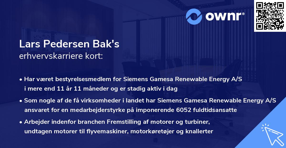 Lars Pedersen Bak's erhvervskarriere kort