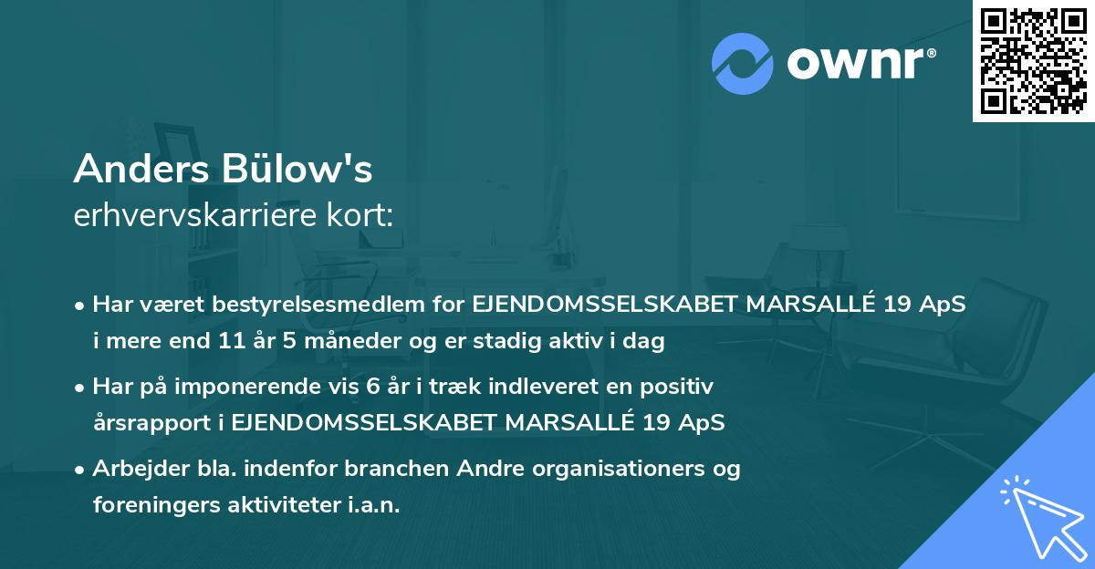 Anders Bülow's erhvervskarriere kort