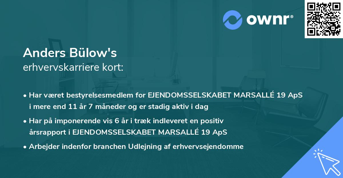 Anders Bülow's erhvervskarriere kort