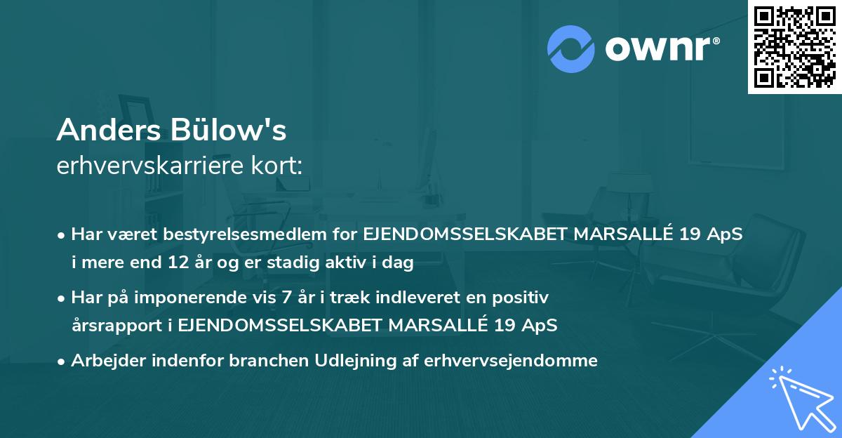 Anders Bülow's erhvervskarriere kort