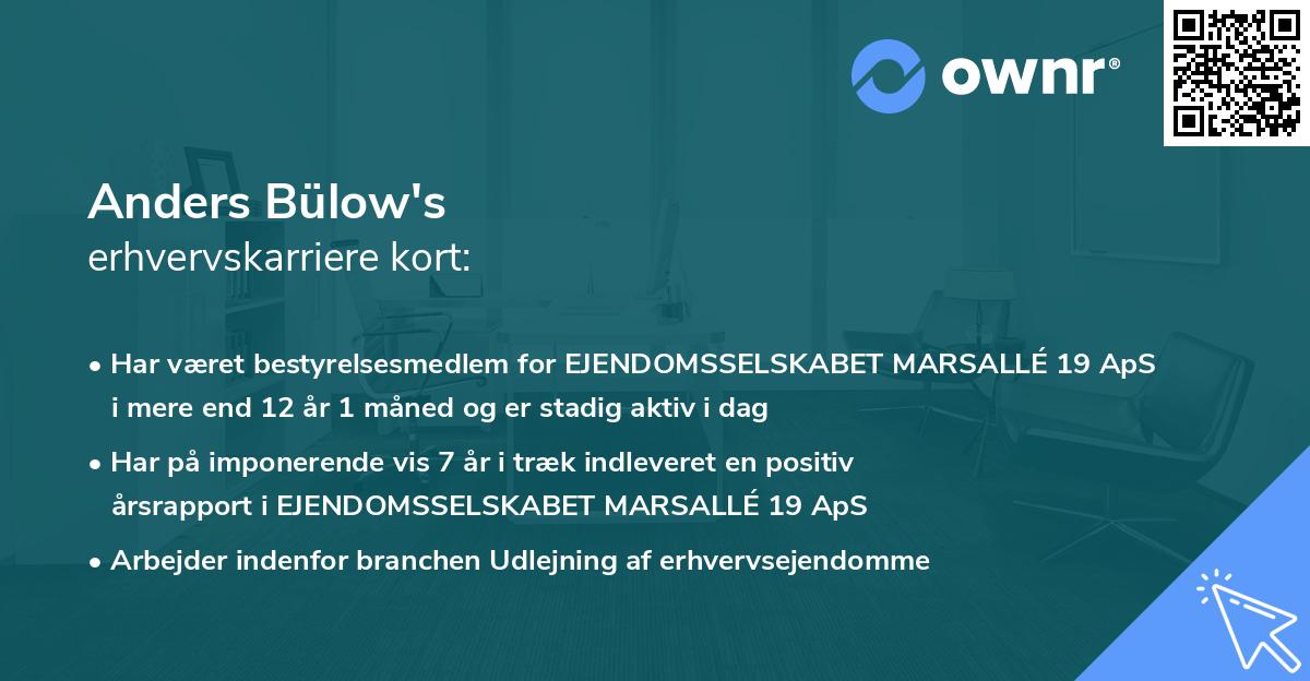 Anders Bülow's erhvervskarriere kort