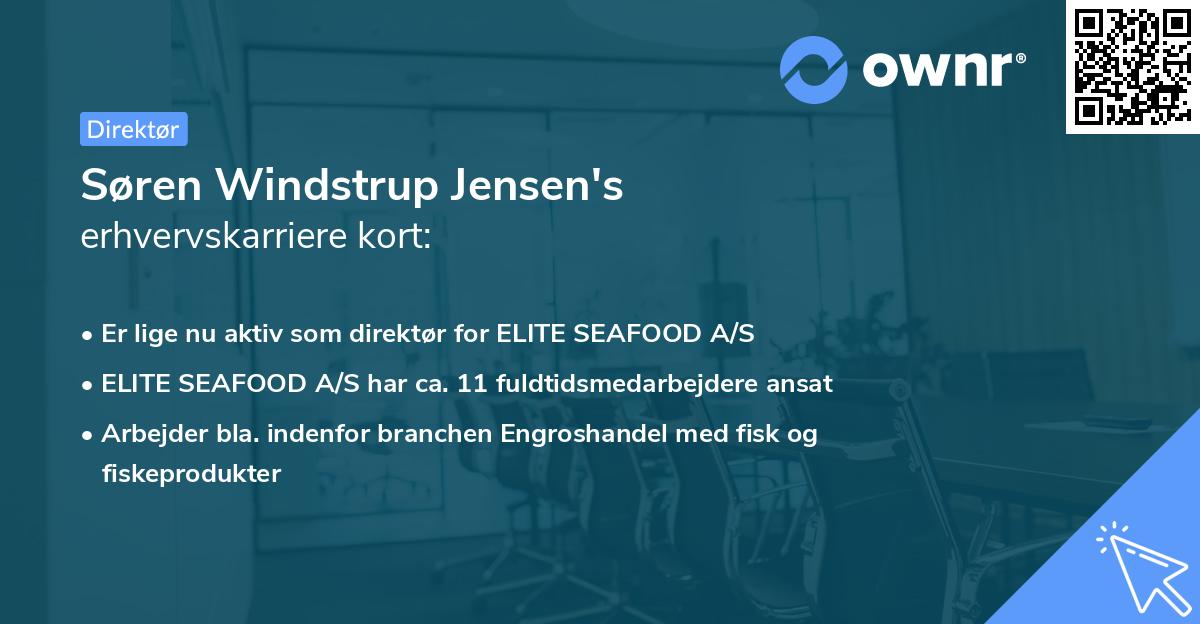 Søren Windstrup Jensen's erhvervskarriere kort