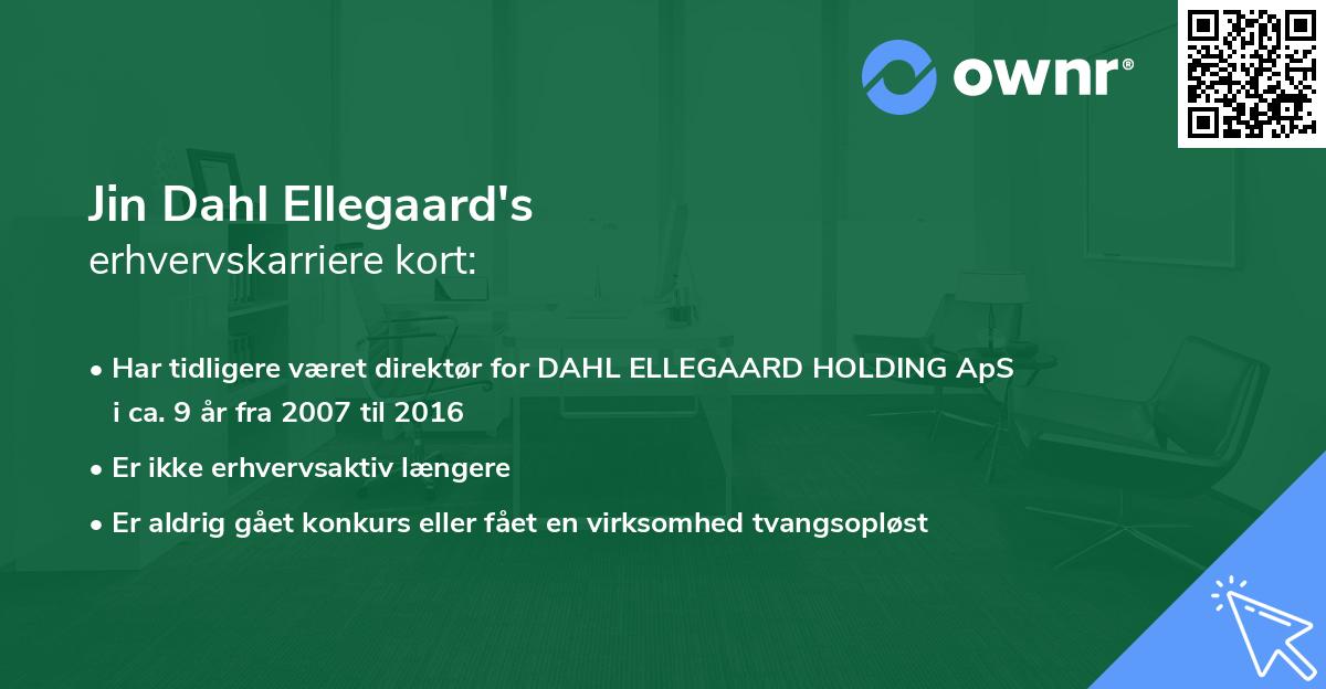 Jin Dahl Ellegaard's erhvervskarriere kort