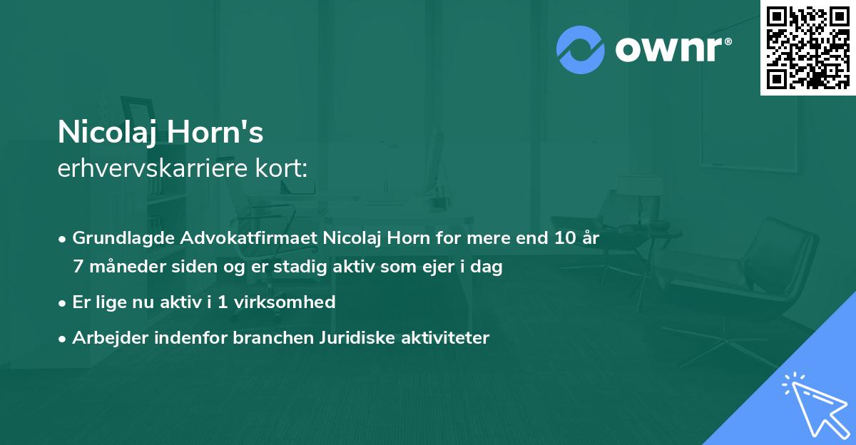 Nicolaj Horn's erhvervskarriere kort
