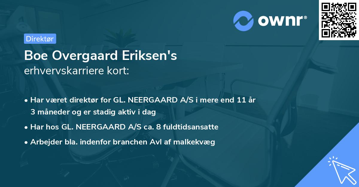 Boe Overgaard Eriksen's erhvervskarriere kort