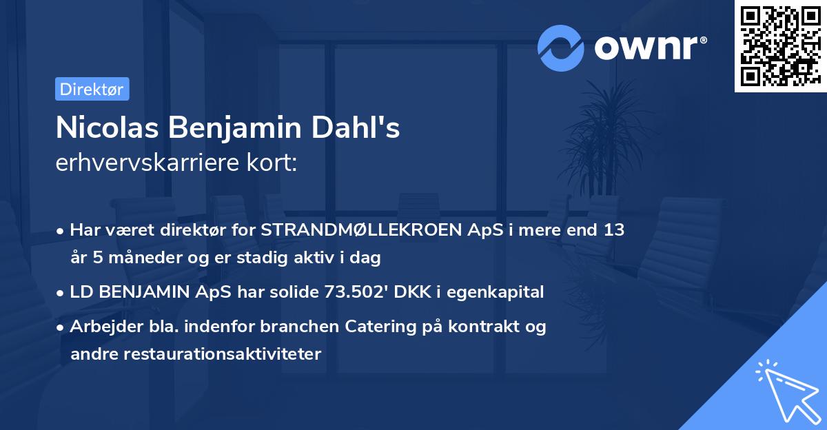 Nicolas Benjamin Dahl's erhvervskarriere kort