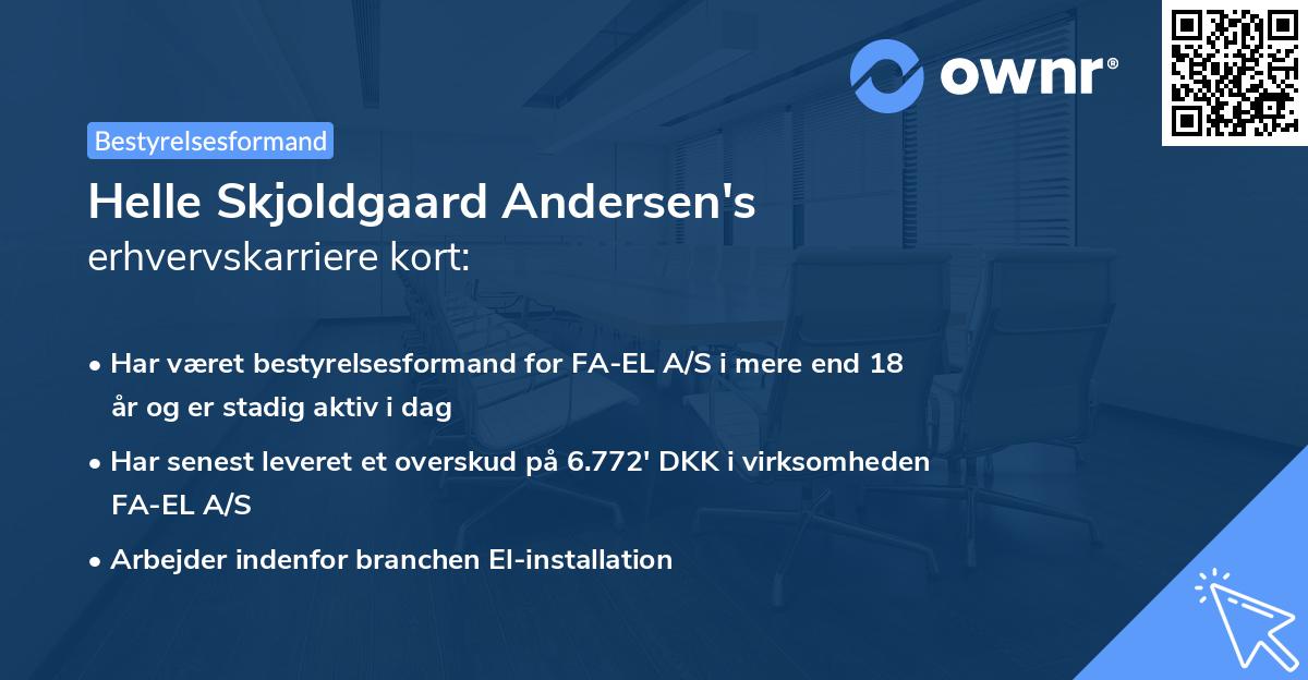 Helle Skjoldgaard Andersen's erhvervskarriere kort