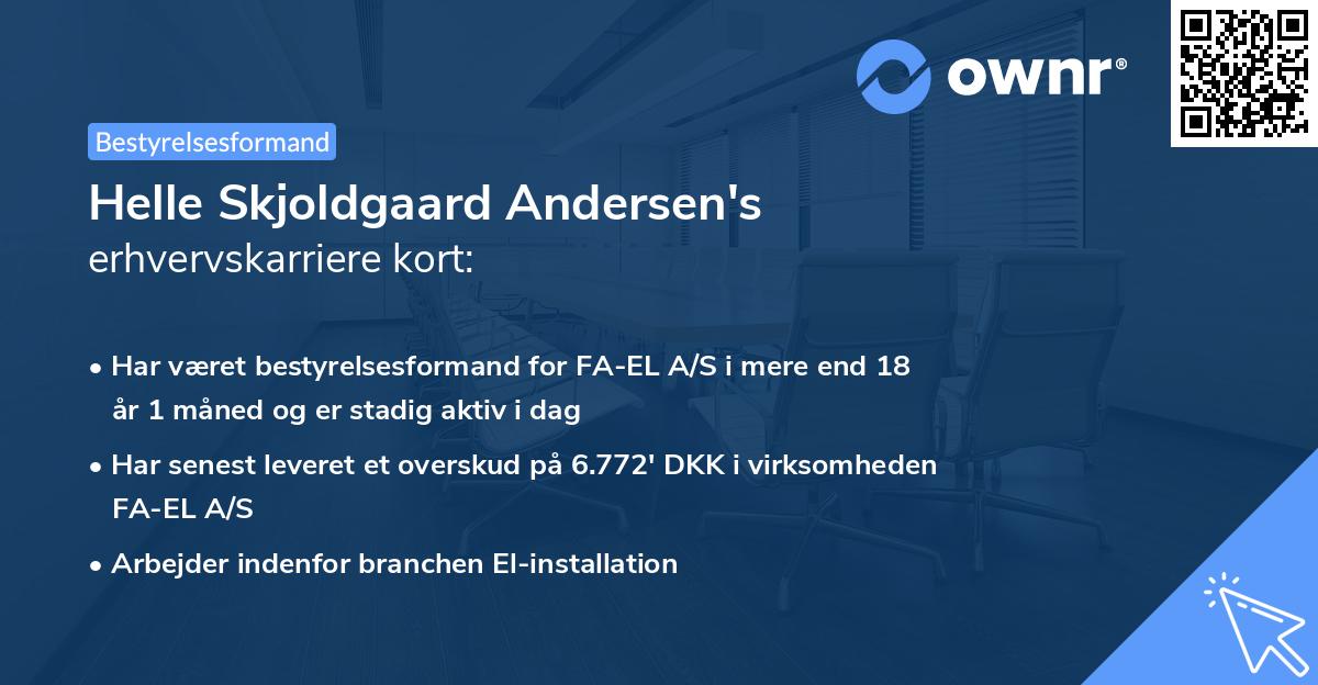 Helle Skjoldgaard Andersen's erhvervskarriere kort