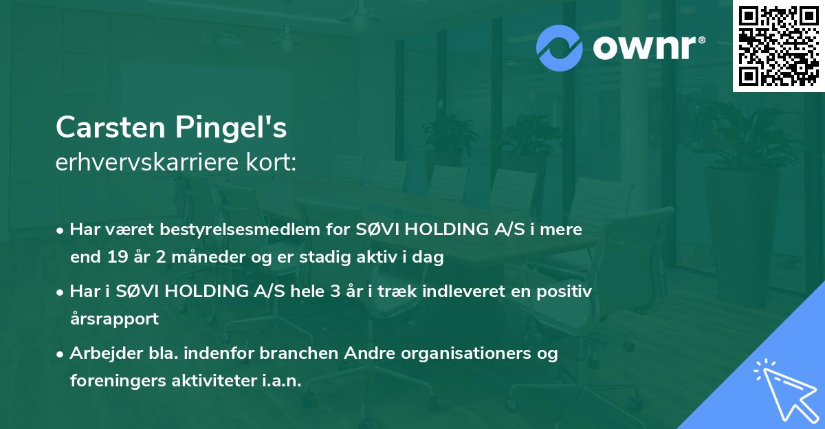 Carsten Pingel's erhvervskarriere kort