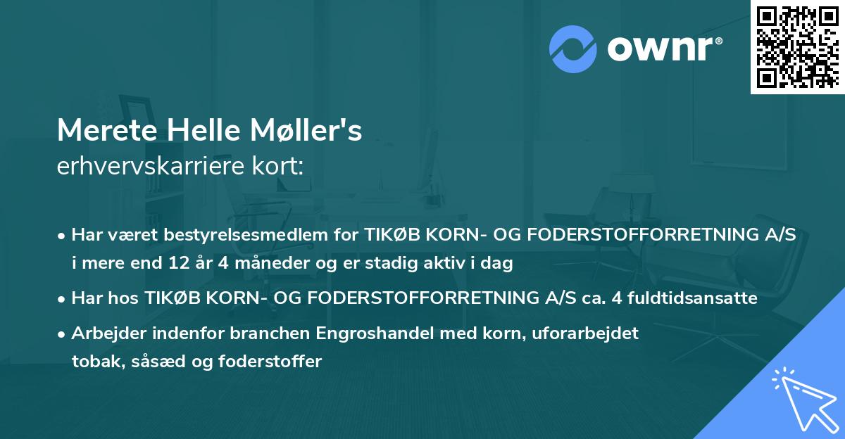 Merete Helle Møller's erhvervskarriere kort