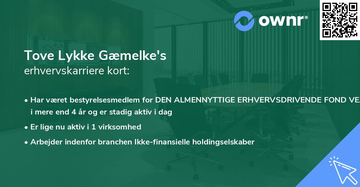 Tove Lykke Gæmelke's erhvervskarriere kort