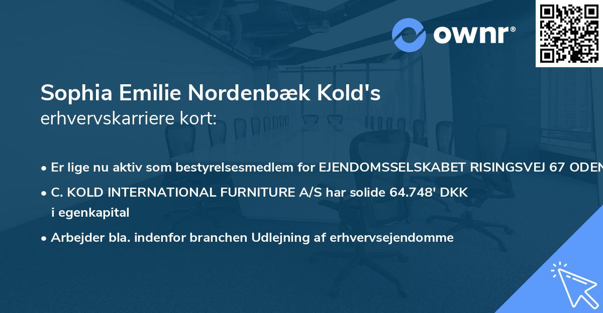 Sophia Emilie Nordenbæk Kold's erhvervskarriere kort