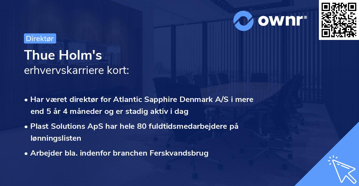 Thue Holm's erhvervskarriere kort