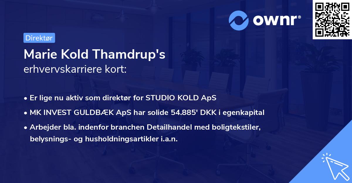 Marie Kold Thamdrup's erhvervskarriere kort